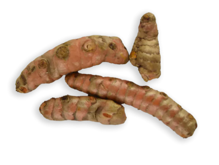 Turmeric 1 LBS